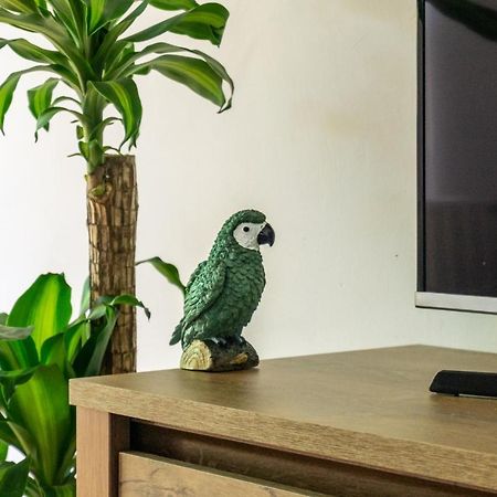 Secret Garden Apartman 米什科尔茨 外观 照片