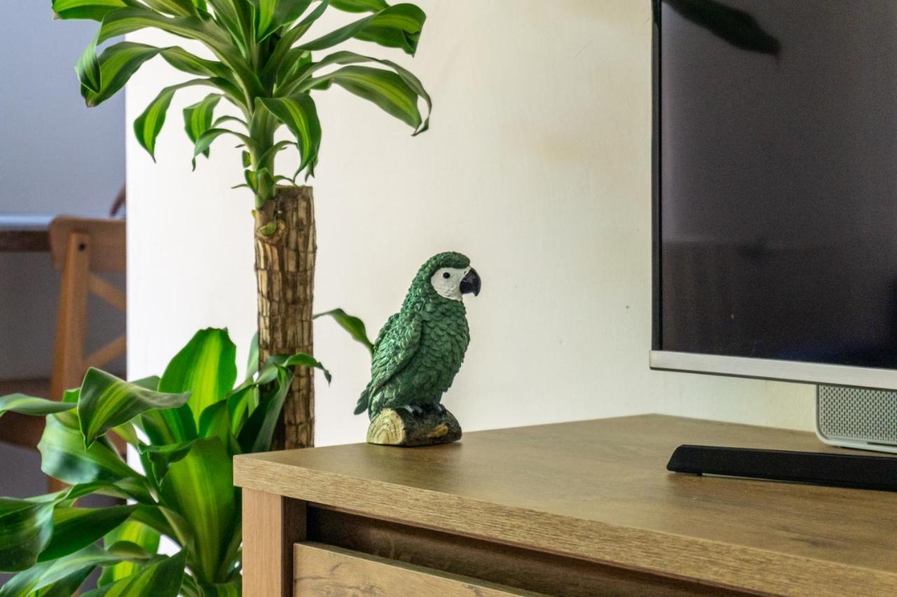 Secret Garden Apartman 米什科尔茨 外观 照片